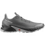 Мужские беговые кроссовки SALOMON ALPHACROSS 5 s473133